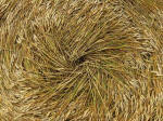Cherhill, Wiltshire crop circle, aerial photo 34