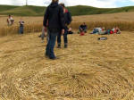 Cherhill, Wiltshire crop circle, aerial photo 35