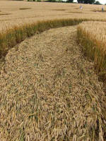 Cherhill, Wiltshire crop circle, aerial photo 22