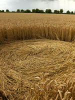 Cherhill (2), Wiltshire crop circle, aerial photo 4