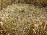 Cherhill (2), Wiltshire crop circle, aerial photo 3
