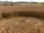 Cherhill (2), Wiltshire crop circle, aerial photo 5