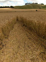 Cherhill, Wiltshire crop circle, aerial photo 67