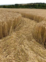 Cherhill, Wiltshire crop circle, aerial photo 57