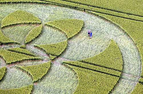 East Field, Wiltshire crop circle, aerial photo 2