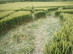 East Field, Wiltshire crop circle, aerial photo 33