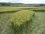 East Field, Wiltshire crop circle, aerial photo 32