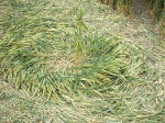 East Field, Wiltshire crop circle, aerial photo 38