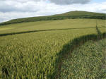 East Field, Wiltshire crop circle, aerial photo 35
