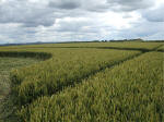 East Field, Wiltshire crop circle, aerial photo 30