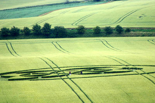East Field, Wiltshire crop circle, aerial photo 45