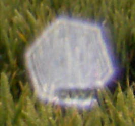 East Field, Wiltshire crop circle, aerial photo 25