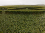East Field, Wiltshire crop circle, aerial photo 14