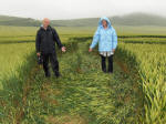 East Field, Wiltshire crop circle, aerial photo 15