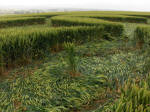 East Field, Wiltshire crop circle, aerial photo 11