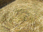 East Field (2), Wiltshire crop circle, aerial photo 29