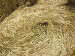 East Field (2), Wiltshire crop circle, aerial photo 27