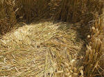 East Field (2), Wiltshire crop circle, aerial photo 21