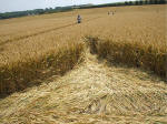 East Field (2), Wiltshire crop circle, aerial photo 19