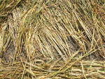 East Field (2), Wiltshire crop circle, aerial photo 33