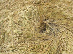 East Field (2), Wiltshire crop circle, aerial photo 37