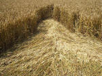 East Field (2), Wiltshire crop circle, aerial photo 18