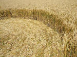 East Field (2), Wiltshire crop circle, aerial photo 31