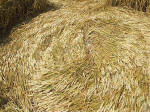 East Field (2), Wiltshire crop circle, aerial photo 34