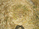 East Field (2), Wiltshire crop circle, aerial photo 32