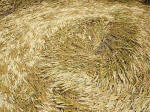 East Field (2), Wiltshire crop circle, aerial photo 26