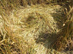 East Field (2), Wiltshire crop circle, aerial photo 41