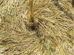 East Field (2), Wiltshire crop circle, aerial photo 28