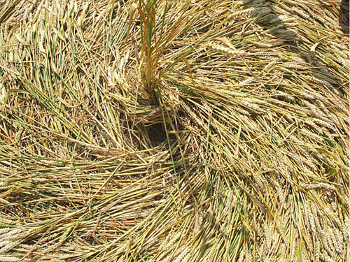 East Field (2), Wiltshire crop circle, aerial photo 16