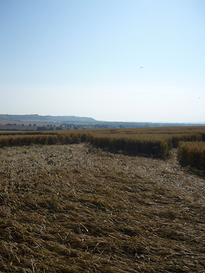 East Field (2), Wiltshire crop circle, aerial photo 44