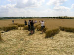 East Field (2), Wiltshire crop circle, aerial photo 9