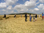 East Field (2), Wiltshire crop circle, aerial photo 8