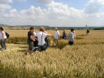 East Field (2), Wiltshire crop circle, aerial photo 7