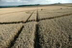 Eastfield (3), Wiltshire crop circle, aerial photo 9