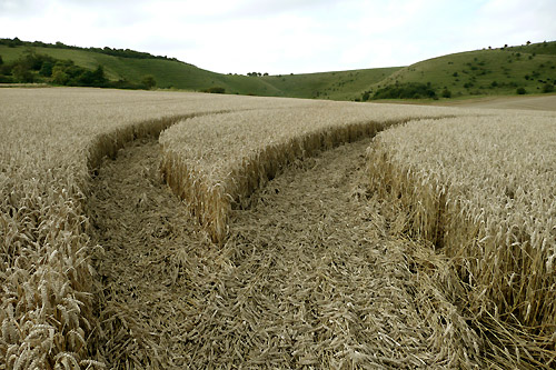 Eastfield (3), Wiltshire crop circle, aerial photo 7