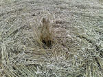 Eastfield (4), Wiltshire crop circle, aerial photo 43