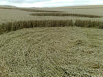 Eastfield (4), Wiltshire crop circle, aerial photo 46