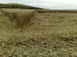 Eastfield (4), Wiltshire crop circle, aerial photo 45