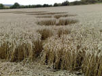 Eastfield (4), Wiltshire crop circle, aerial photo 47