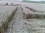 Eastfield (4), Wiltshire crop circle, aerial photo 28