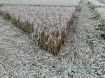 Eastfield (4), Wiltshire crop circle, aerial photo 26