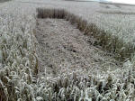 Eastfield (4), Wiltshire crop circle, aerial photo 29