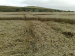 Eastfield (4), Wiltshire crop circle, aerial photo 38