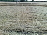 Eastfield (4), Wiltshire crop circle, aerial photo 32