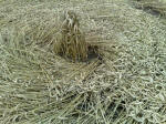 Eastfield (4), Wiltshire crop circle, aerial photo 42