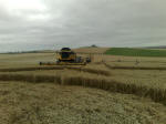 Eastfield (4), Wiltshire crop circle, aerial photo 48